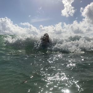 Meet your Posher, Yas